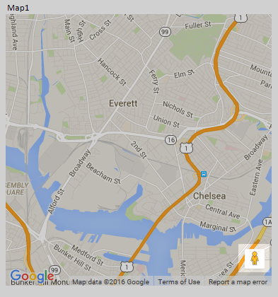 The street view icon
